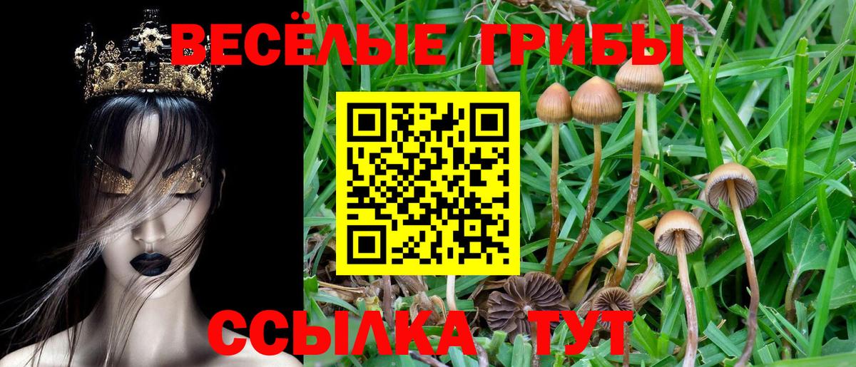 Галлюциногенные грибы Psilocybe  Галлюциногенные грибы ЛСД  Вход с VPN  Реж 