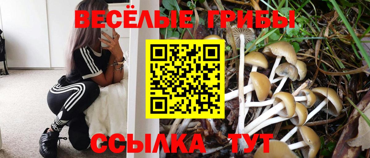 Псилоцибиновые грибы мухоморы Реж